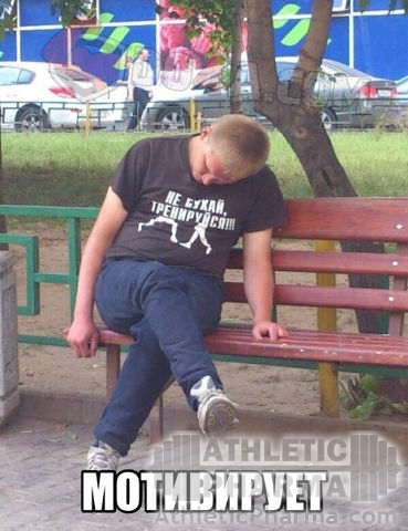 med_gallery_1196_2_28003.jpg